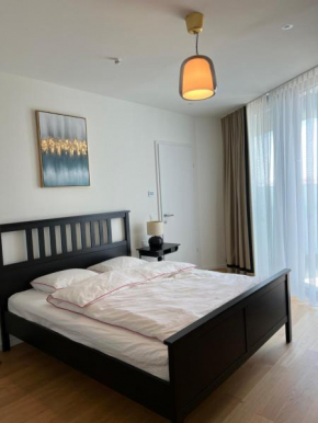 Apartment at Belvedere